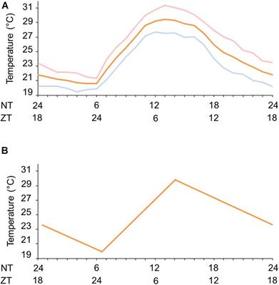 The Summer Is Coming: nocte and timeless Genes Are Influenced by Temperature Cycles and May Affect Aedes aegypti Locomotor Activity